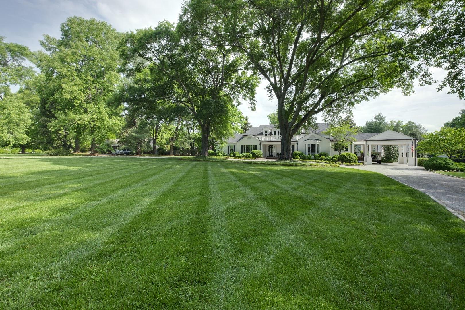 Drew's Lawn and Landscape work