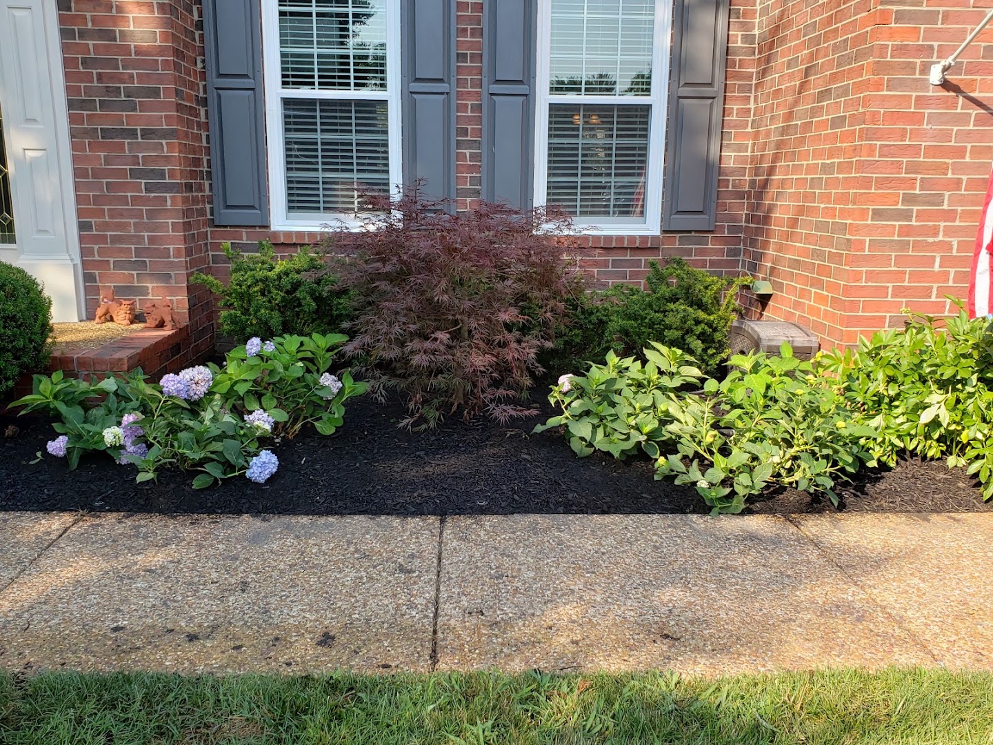Drew's Lawn and Landscape work
