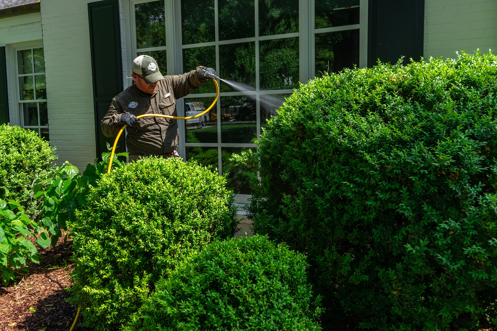 Drew's Lawn and Landscape work